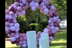 275754377_286979936848666_7005780369582315982_n